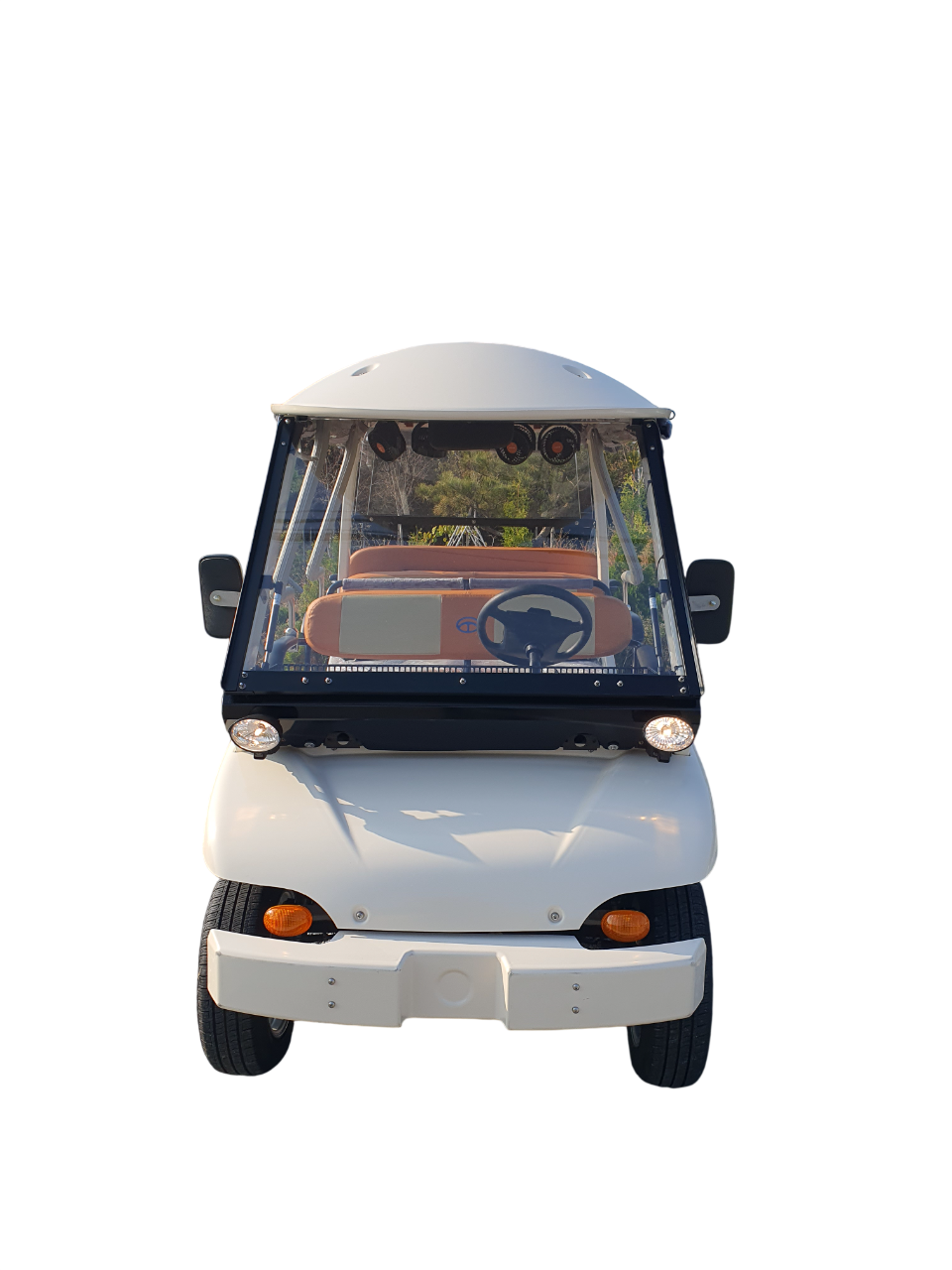 8인승 투어링 전동카트